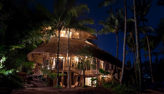 Bali tropical dream nights