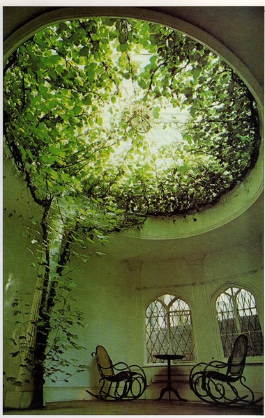 interior-design-with-nature-plant-art-architecture-living-room