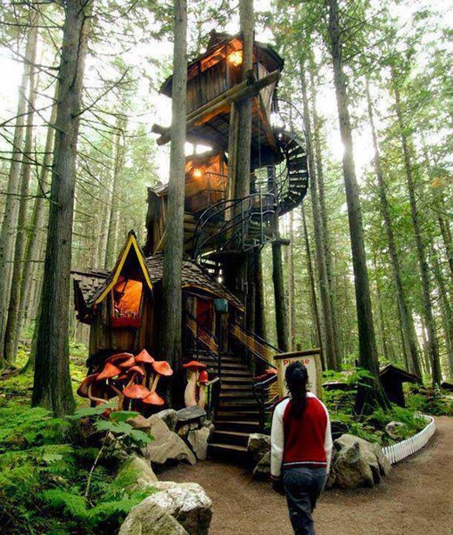 A Magic Tree House, hidden in the forrest