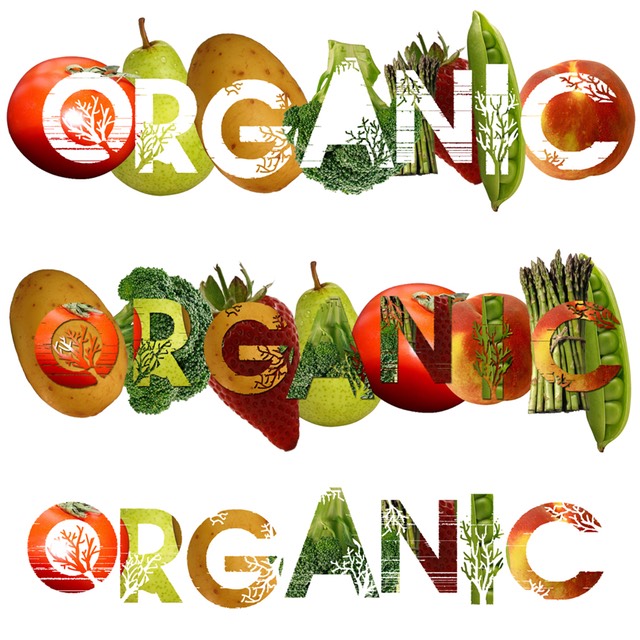 organic seeds and food