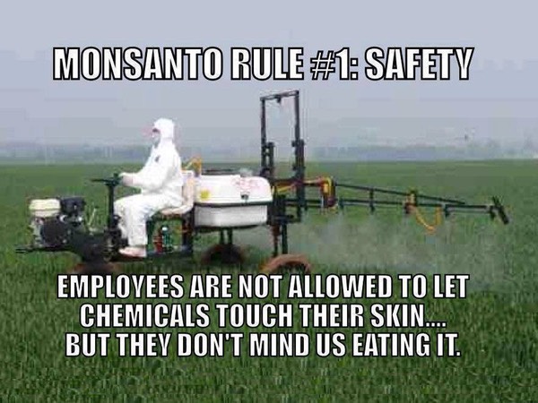 They also only serve organic food in the Monsanto cafeteria